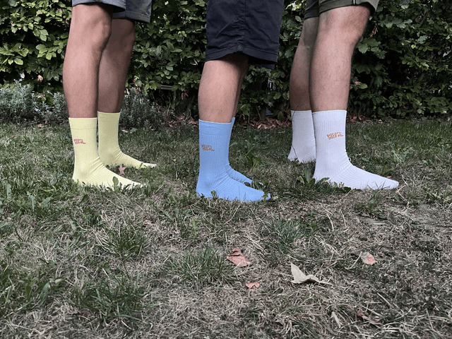 Limited Edition: Biscotti Disco Affair Socks